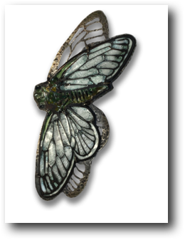 Cicada in Flight